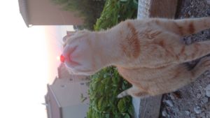 B05 X Vůně slunce (Energie)