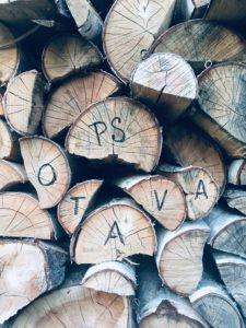 B27 X (bez názvu) 3