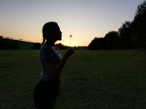 C06 T Louka zapadajícího slunce