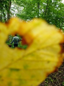 D04 X Kreativní od přírody