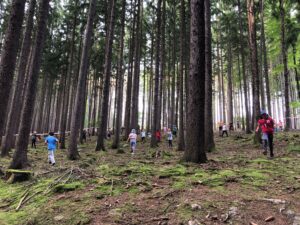 B08 T V lese je nejlépe