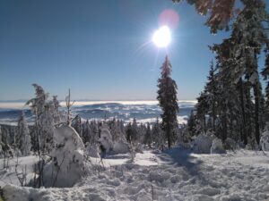 D15 P Zasněžená krajina