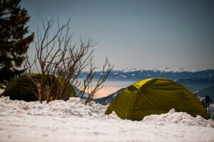 D17 P Zimní spánek