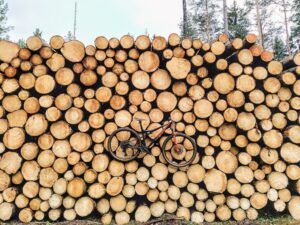 E13 P Pověsím to na hřebík