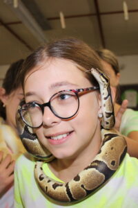 D - Ú - Pangrác Martin - Poslední úsměv