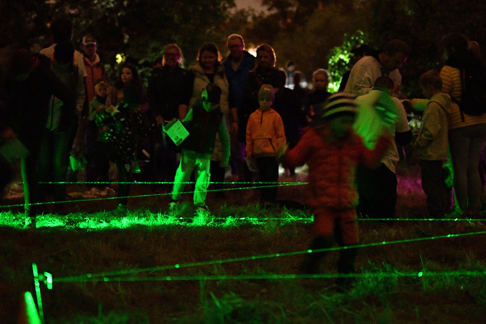 Lesem ke hvězdám